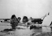 Reed mats houses
